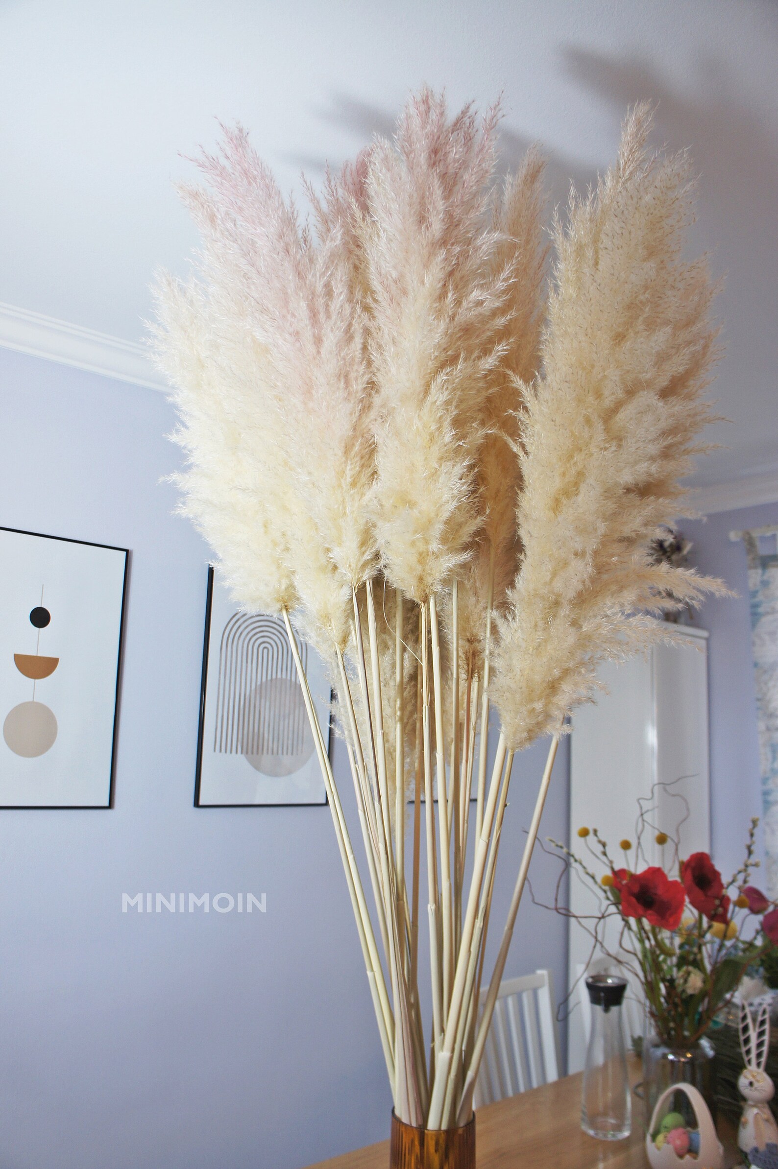 3 x Cream Pampas Grass XXL Super fluffy pampas Boho Dry Etsy
