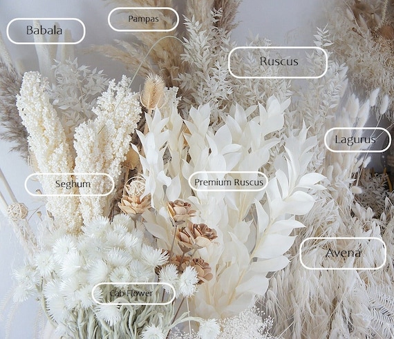 White 2024 dried flowers