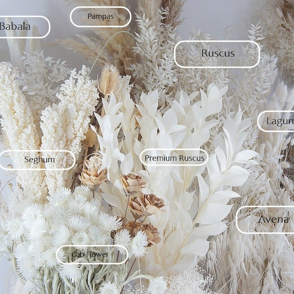 Trockenblumen in Weiß- und Cremetönen, Pampas, Lagurus und Co, Trockengras und Blumen Arrangements, DIY Trockenblumenzubehör, Blumensträuße