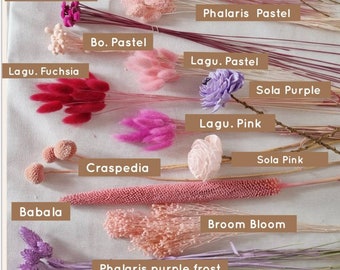 Dry and preserved botao flowers, dry babala, dry worm grass in fuchsia pink, photoshoots backdrop,  photo props, dry arrangements