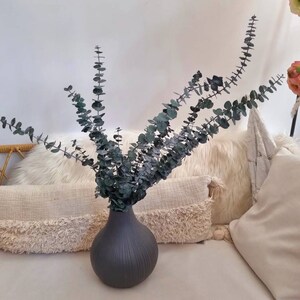 Preserved Baby blue Eucalyptus, Bouquet of preserved baby Eucalyptus leaves green Eucalyptus leaf  bouquet of Eucalyptus leaves