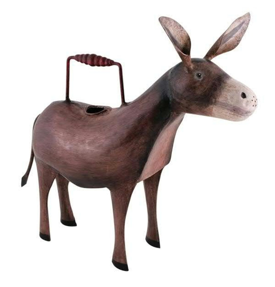 Watering Can Animal Watering Can. Etsy UK