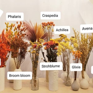 Dry flower in Yellow and Orange tones, Pampas, Lagurus and co, dry grass and flowers for arrangements, DIY dry flower suppy, Flower bouquets