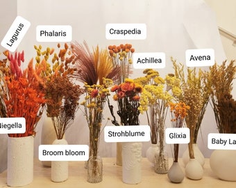 Dry flower in Yellow and Orange tones, Pampas, Lagurus and co, dry grass and flowers for arrangements, DIY dry flower suppy, Flower bouquets