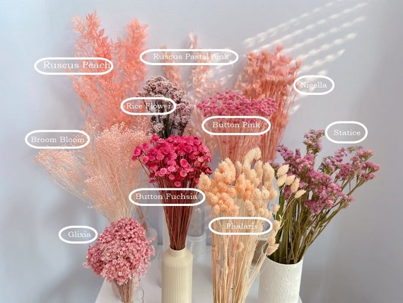 Dry Flower Bouquet in Pink Tones, Pampas, Lagurus and Co, Dry Grass and  Flowers for Arrangements, DIY Dry Flower Suppy, Flower Bouquets 