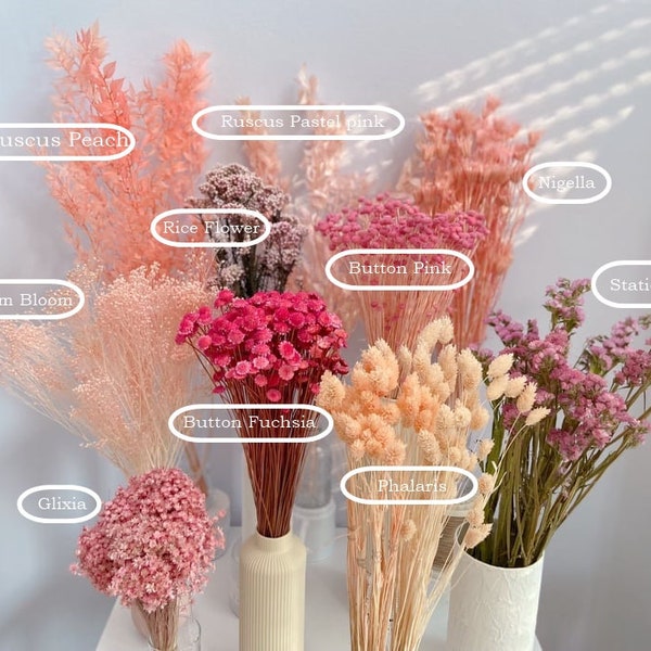 Trockenblumen in Rosa, Pampas, Lagurus und Co, Trockengras und Blumen Arrangements, DIY Trockenblumenzubehör, Blumensträuße
