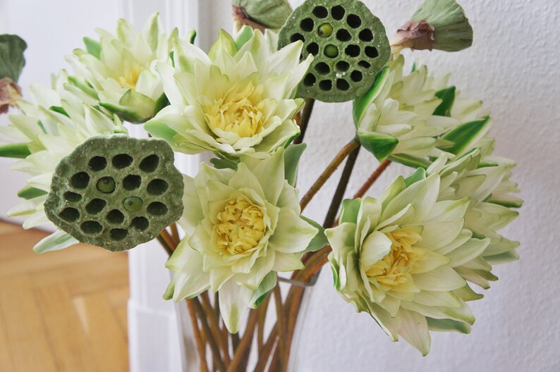 Artificial Lotus pod Natural Color and realistic Etsy
