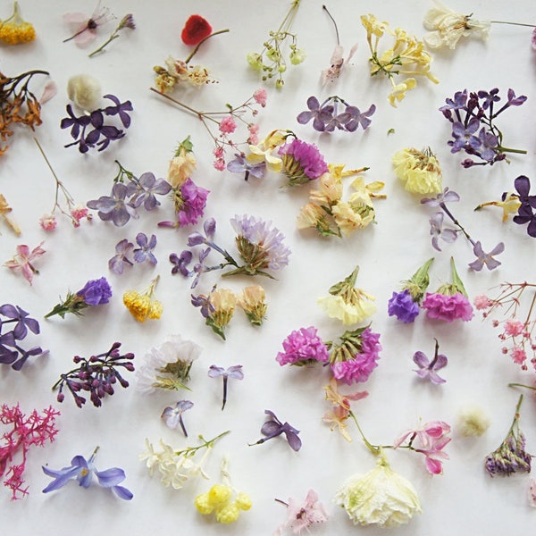 Dried mini flower for resin jewelry, mixed flower for glass orb-glass vial filter, dried mixed mini flowers, set of mix flowers for craft