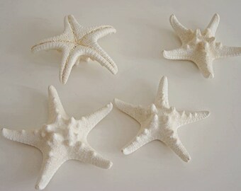 20 X weiße knobby Seestern, Bulk white Knobby Seestern - Hochzeit Strand Dekor, Seestern Strand Seestern, Schmuck Versorgung, Home Deco, Kunst-Versorgung