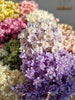 GLIXIA | Dried mini glixia flowers, dry star flower in natural color, mini star flowers for vase arrangements 