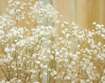 Bouquet de gypsophile dans de nombreuses couleurs, gypsophile conservée de bonne qualité, bouquet de mariage, composition florale, voile d'herbes sèches, décoration de table bricolage