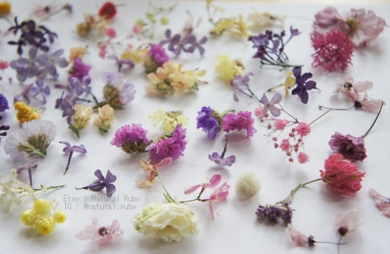 130 Dried mini flower for resin jewelry flower for glass Etsy