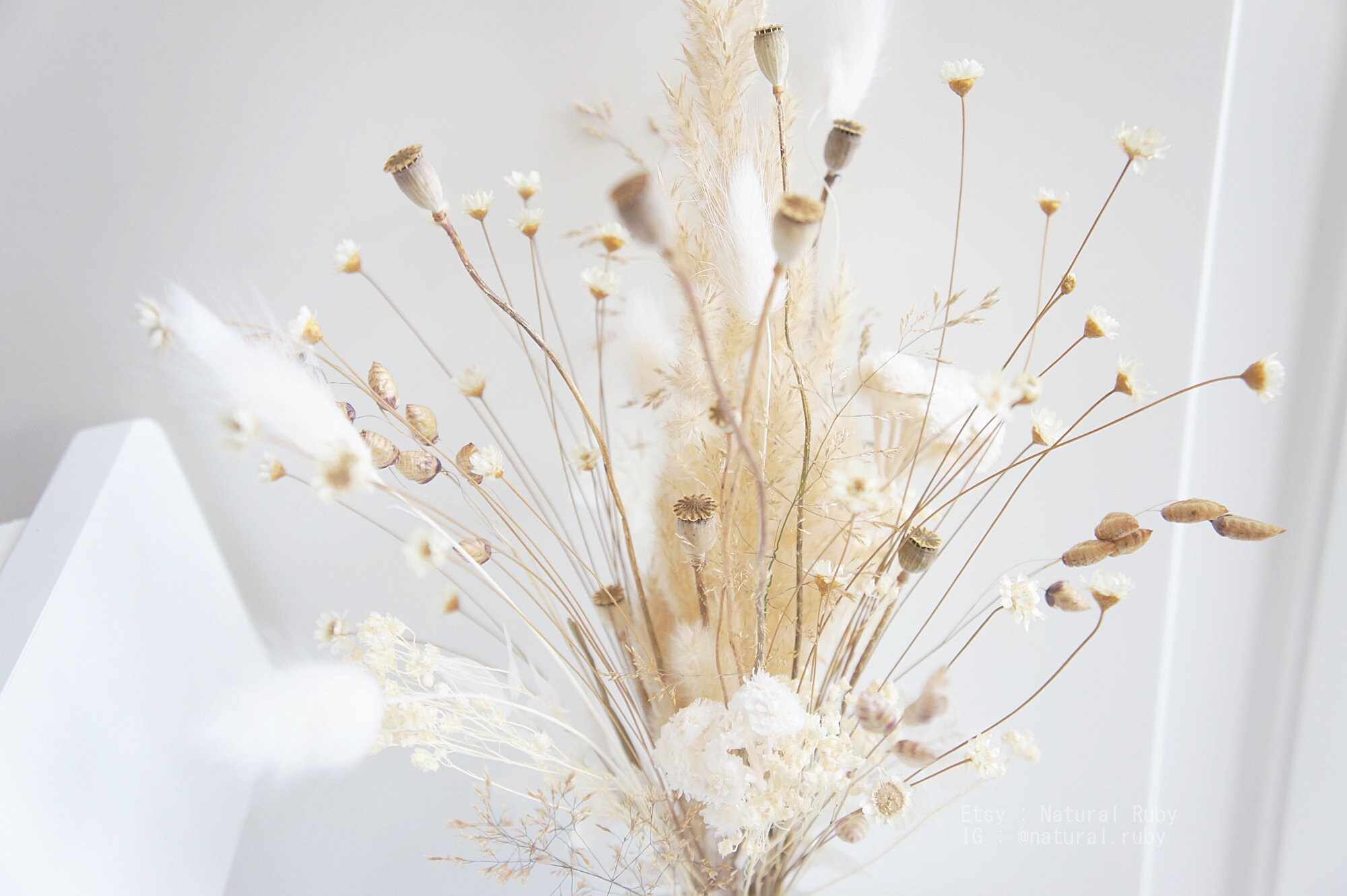 Bouquet de Fleurs Sèches, Bouquet d'herbe Boho Pampas en Brun et Blanc Naturel, Séchées, Arrangement