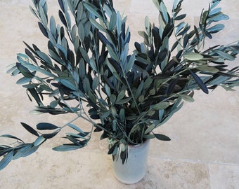 Konservierte Olivenzweige Bouquet aus Olivenblättern  grünes Olivenblatt DIY Hochzeitseinladungskarte Tischdekoration, Hochzeitsdekoration