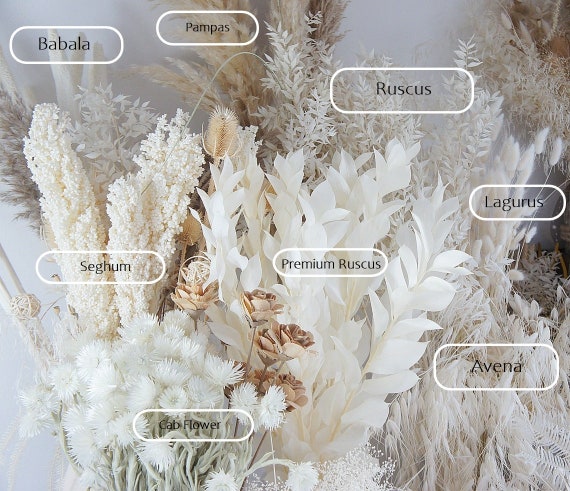 White Premium Collection, Dry Flower in White and Cream Tones, Pampas,  Lagurus , Dry Grass and Flowers for Arrangements 