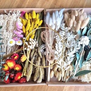 DIY Trockenblumen Set in verschiedenen Farben, DIY-Trockenblumenstrauß, zum Basteln, Tischdeko zur Taufe, lugurus, pampasgras, phalaris Bunt / Mix