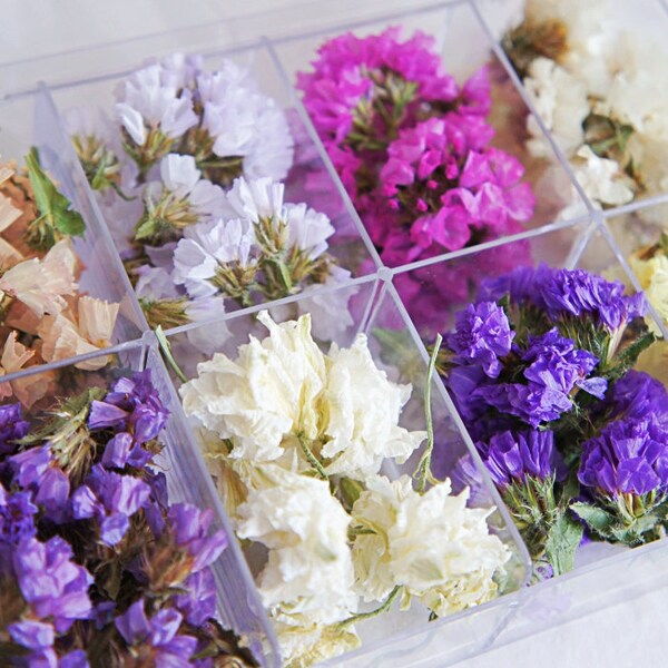 Dried mini statice for resin jewelry, dried small flower for glass orb filter, resin flower, dried small flower for craft, mix mini flowers