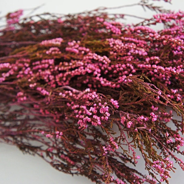 Preserved pink heather bouquet, Preserved heather flower for decoration, a bunch of dried pink Heather