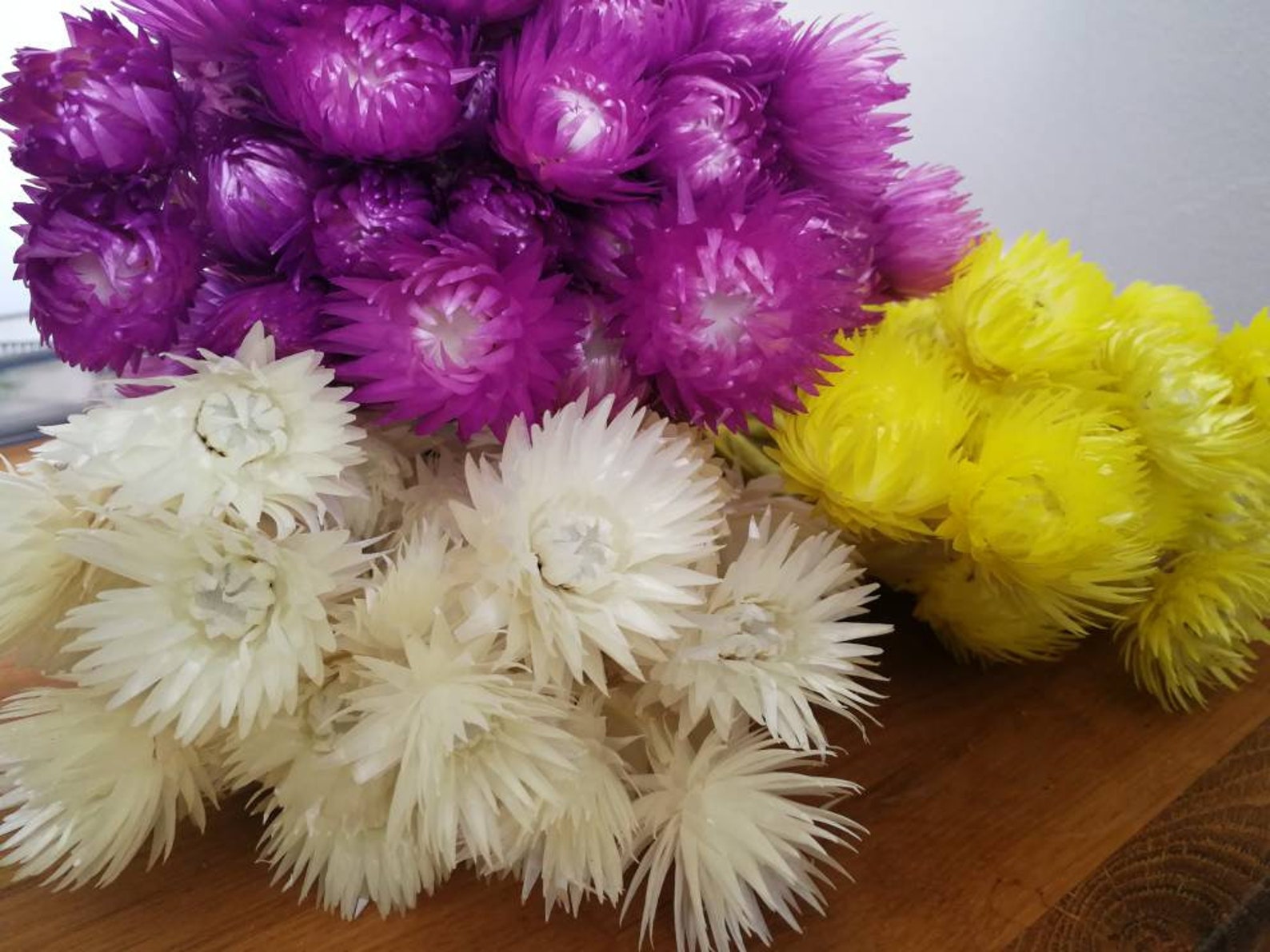 Everlasting Flowers Helichrysum Dried Flowers Etsy