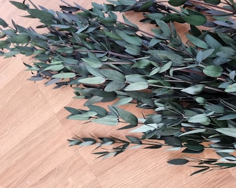 Preserved eukalyptus green Eucalyptus leaf preserved Eucalyptus leaf for craft Eucalyptus leaves
