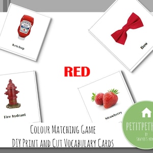 Printable Colour Matching Game for Toddler and Kids | DIY Print & Cut Vocabulary Flash Cards | Montessori | Educational Tool | Home School