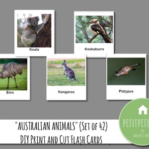 42 Australian Animals Flash Cards | Kids Activity | Children Learning | Toddler Education | Home School | Instant Print | Vocabulary Cards