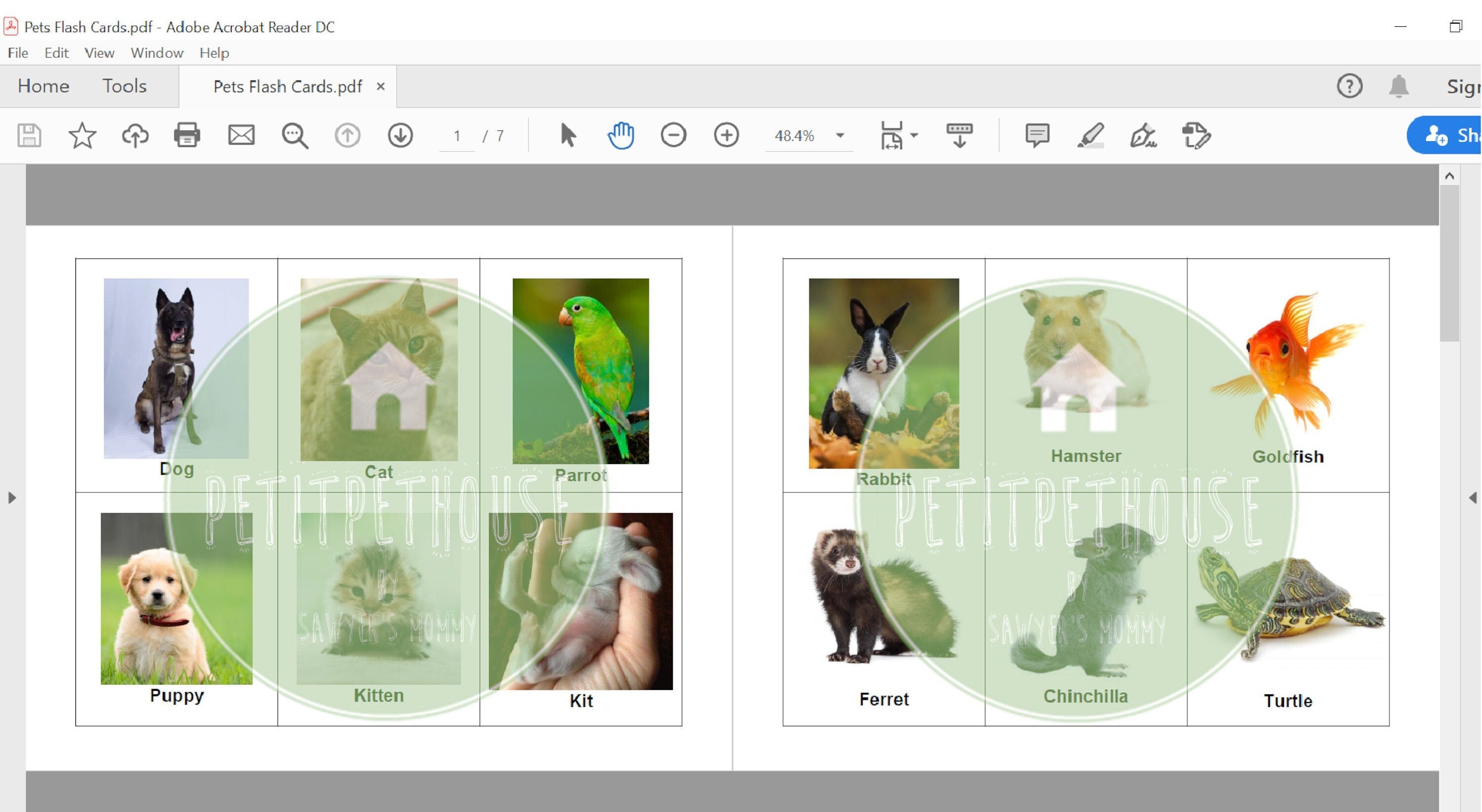 39 Pets Flash Cards Kids Activity Children Learning | Etsy