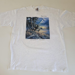 アートTシャツ 90年代 made in USA ONEITA Vintage 90s Power Pro Oneita Earth Day T-Shirt Single Stitch
