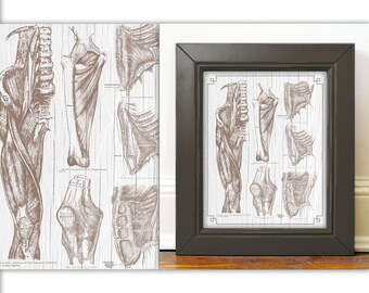 Anatomy of a pew | Etsy