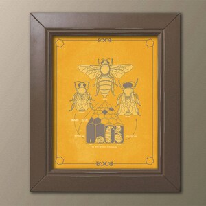 Honey Bee Life Cycle Poster Beekeeper Apiary Science Gift 8x10 9x12 11x14 16x20 18x24