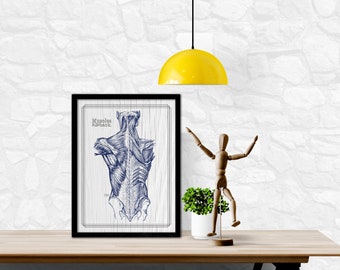 Print it Yourself Grays Anatomy Back Muscles Navy WhiteWash Textured Artwork Card Chart Guide Massage Physical Therapy Treatment Room 8x10