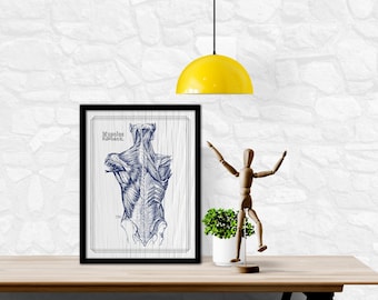 Impresión artística de la anatomía de los músculos de la espalda: Textura blanqueada azul marino (descarga digital)