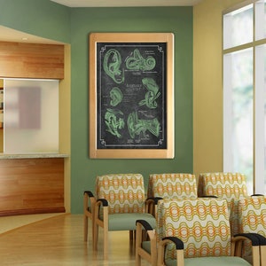 Choose Your Color Gray&#39;s Anatomy of the Ear Vintage Poster Guide Reference ENT Doctors Office Medical Art 8x10 12x16 16x20 18x24