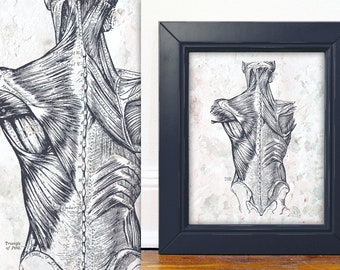 Custom Back Muscle 16x20 Descarga digital