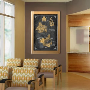 Könnte beinhalten: Gerahmter Druck der Anatomie der Nase. Das Kunstwerk zeigt detaillierte Illustrationen der Nasengänge in Gold vor einem dunklen Hintergrund. Der Druck wird in einem Wartezimmer mit gemusterten Stühlen und einem Empfangstresen ausgestellt.
