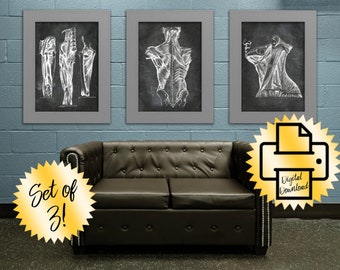 Set of 3 Exercise Room Anatomy Wall Decor Muscle Posters 11x14 Digital Download Printables