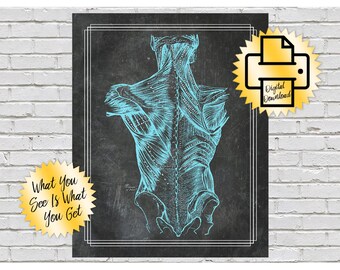 Print at Home Grays Anatomy Back Muscles Aqua Blue Textured Artwork Card Chart Guide Massage Physical Therapy Treatment Room 8x10