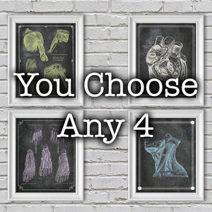 Anatomy Posters Set of 4 Custom Images and Colors for Massage Therapy, Chiropractor, Physical Therapy, Fitness Gym, Yoga Studio