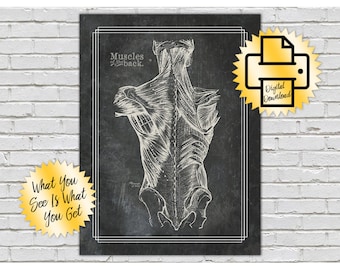 Grays Anatomy Back Muscles // Print At Home // 8x10 // Sand Blackboard Textured Artwork // Massage Room // Physical Therapy Treatment Room
