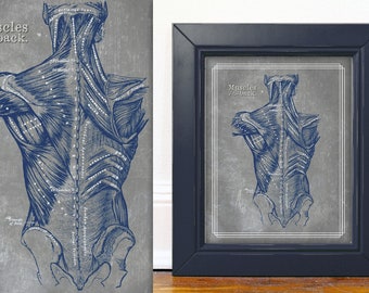 Grays Anatomy Back and Neck Muscles // Print At Home // 11x14 // Navy Gray Textured Artwork // Massage Room // Chiropractic