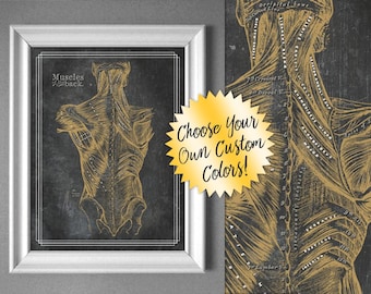 Impresión artística de anatomía de los músculos de la espalda: estilo vintage, colores personalizados