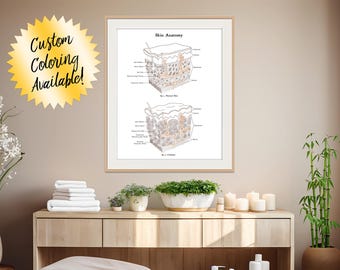 Póster de anatomía de celulitis vs. piel sana: Arte de drenaje linfático