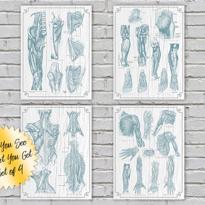 Massage Therapy Set of 4 What You See Is What You Get Massage Office Decor Chiropractic Physical Therapy