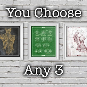 Personalizzabile 10% di sconto Affare QUALSIASI 3 Science Art Medical Office Artwork Grigi Anatomia Massaggio Decor Trattamento Spa 8x10 11x14 16x20 18x24 24x36