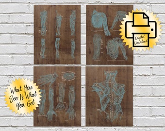 Massage Room Anatomy Aegean Teal on Wood Set of 4 Print at Home Digital Download 11x14