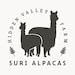 Avatar de HIDDENVALLEYSURI