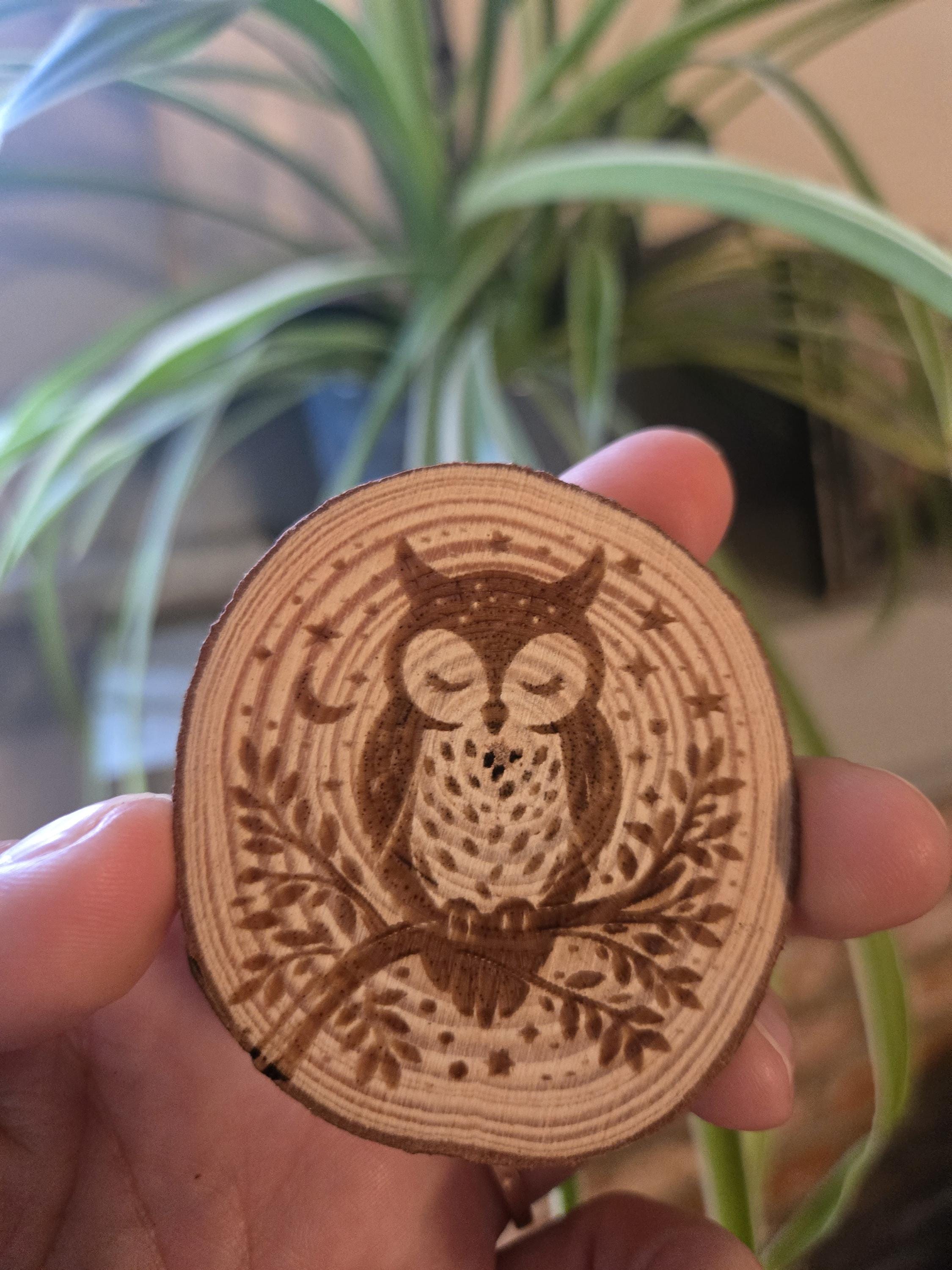 Personalized Recovery Coin | Wise Owl Wood Coin| AA Token | Sober Gift |