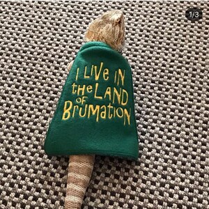 Bearded Dragon Land of Brumation Cape