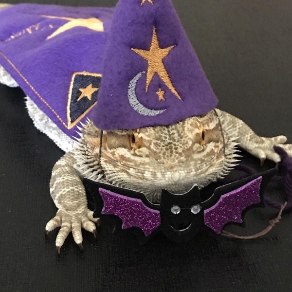 Bearded Dragon Wizard Hat and/or Cape and/or Cape and Hat Costume