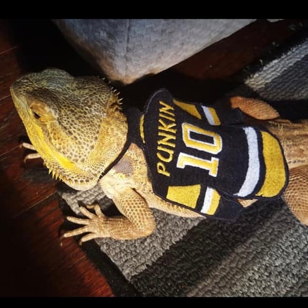 Bearded Dragon Hockey Jersey Cape customized and personalized